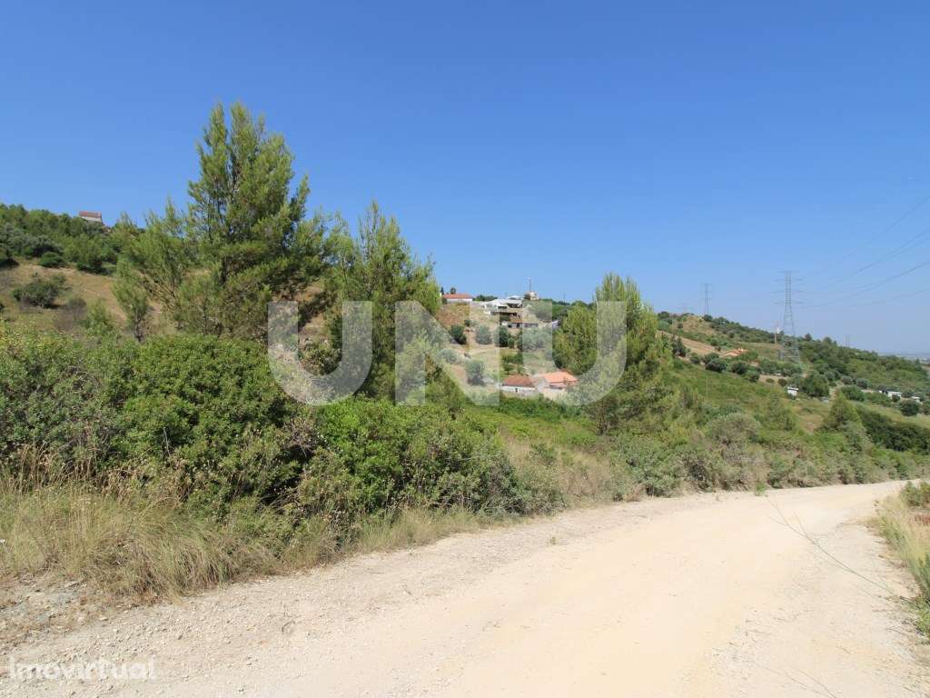 Terreno Rústico em Vila Franca de Xira! - Grande imagem: 5/7