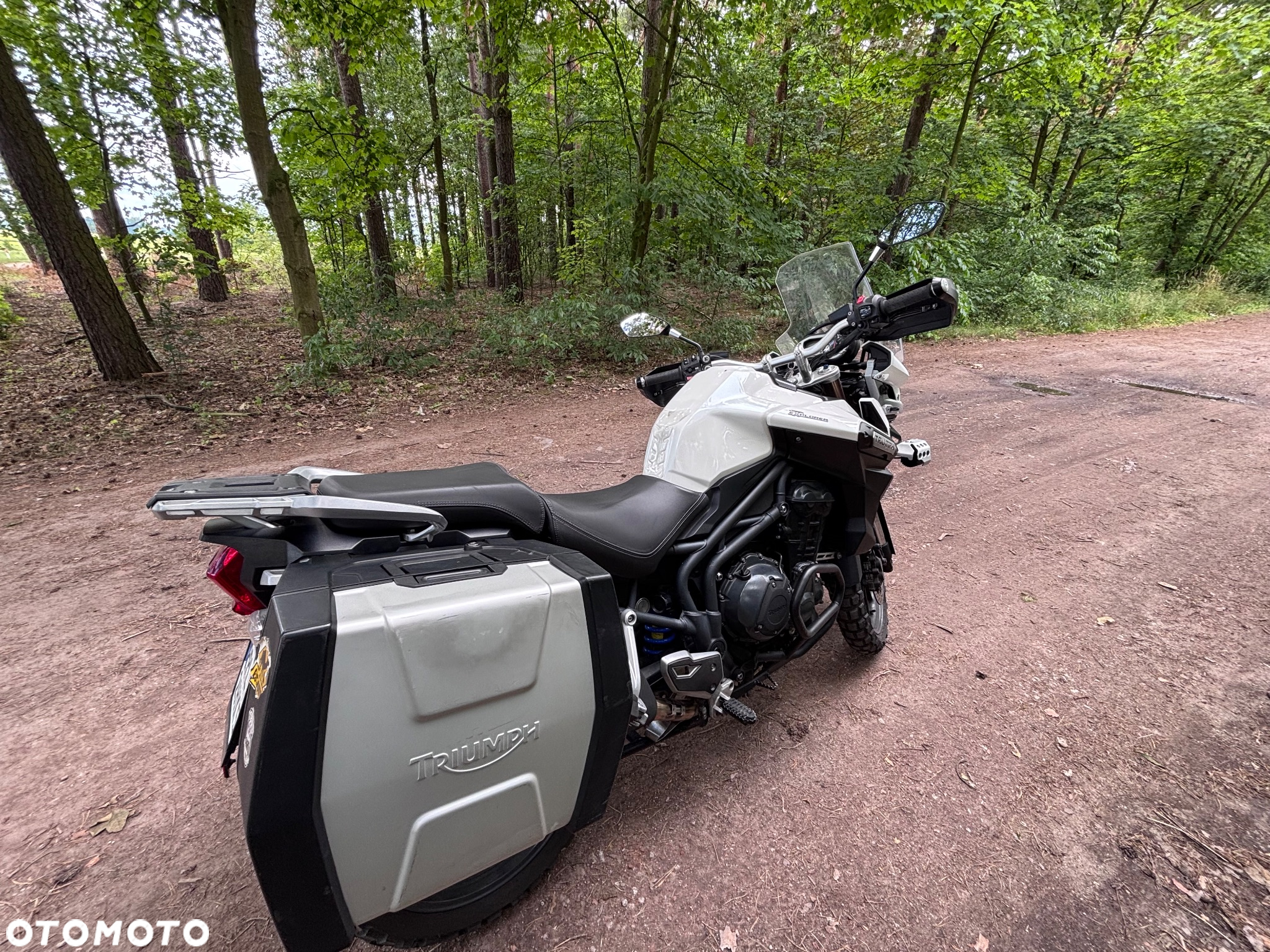Triumph Tiger - 5