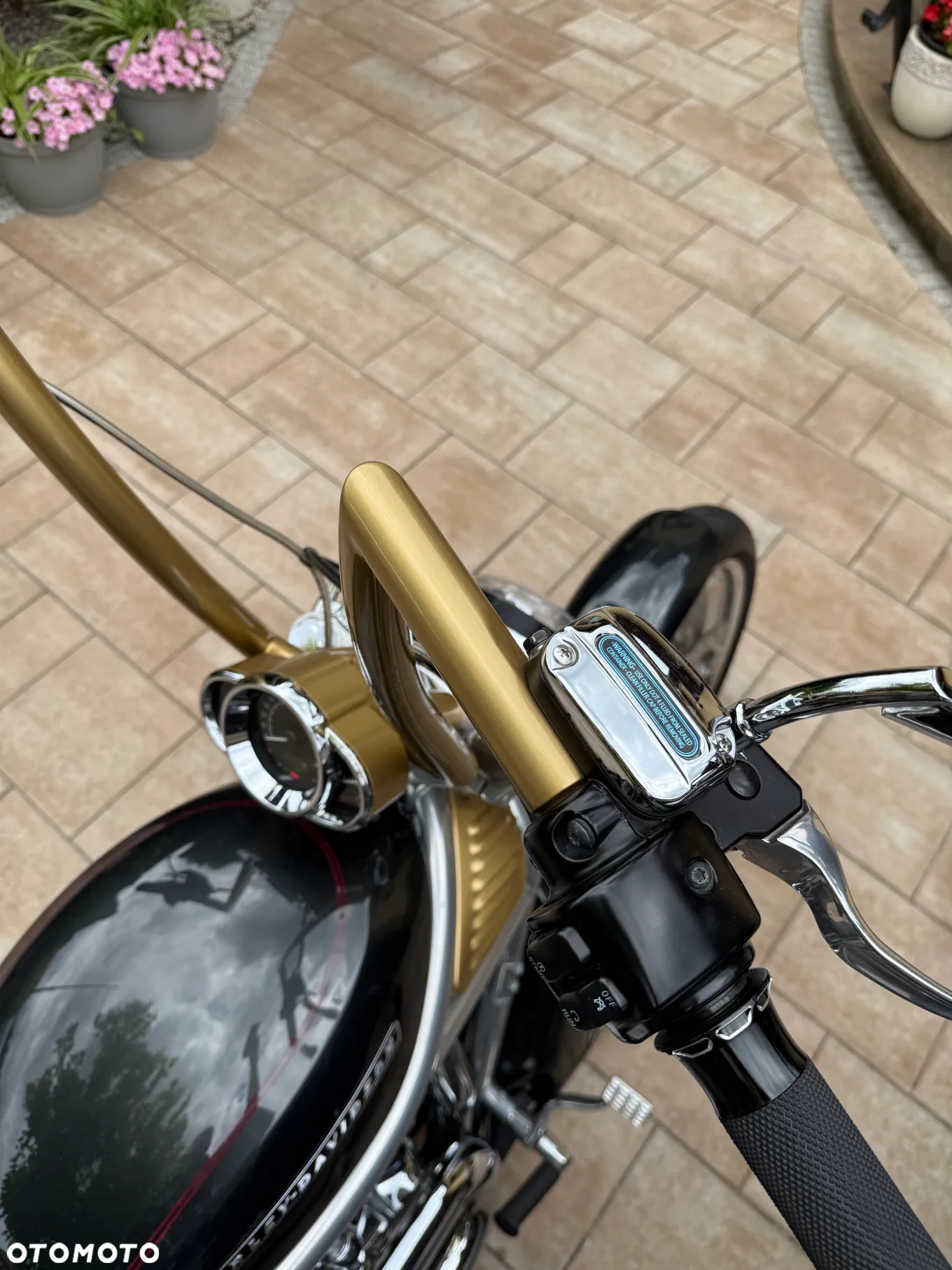 Harley-Davidson Softail V-Rod - 15