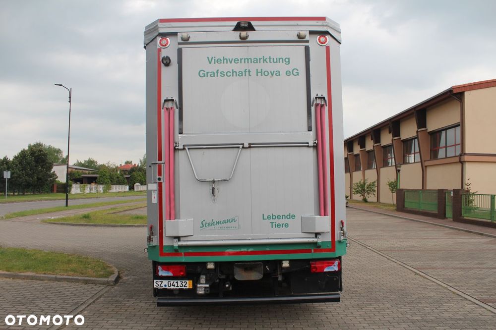 MAN TGS 26.440 DO ŻYWCA ZWIERZĄT BYDŁA Z NIEMIEC - 3