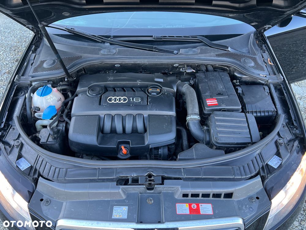 Audi A3 Cabrio 1.6 Attraction - 22