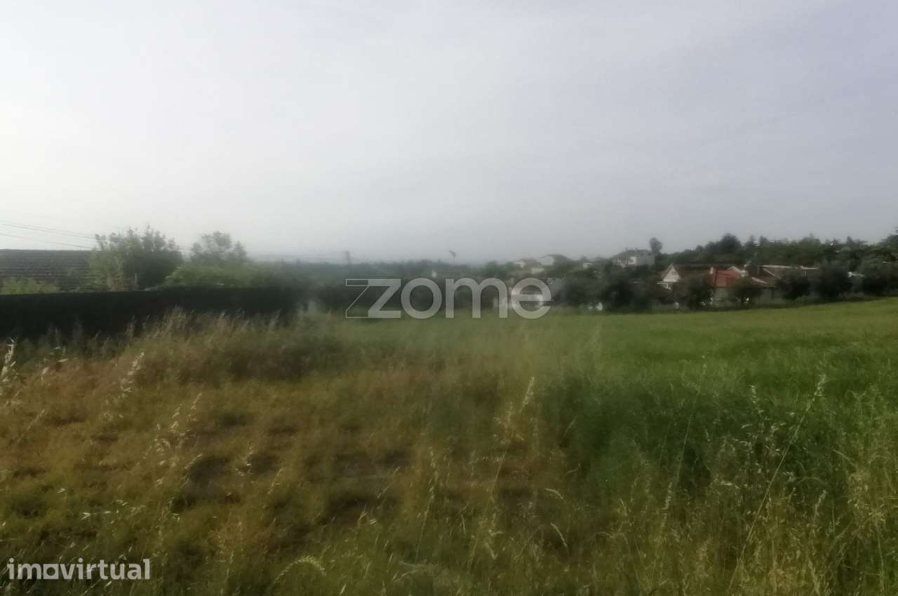 Terreno Rústico e Casas com vista para a Serra do Caramulo - Grande imagem: 5/18