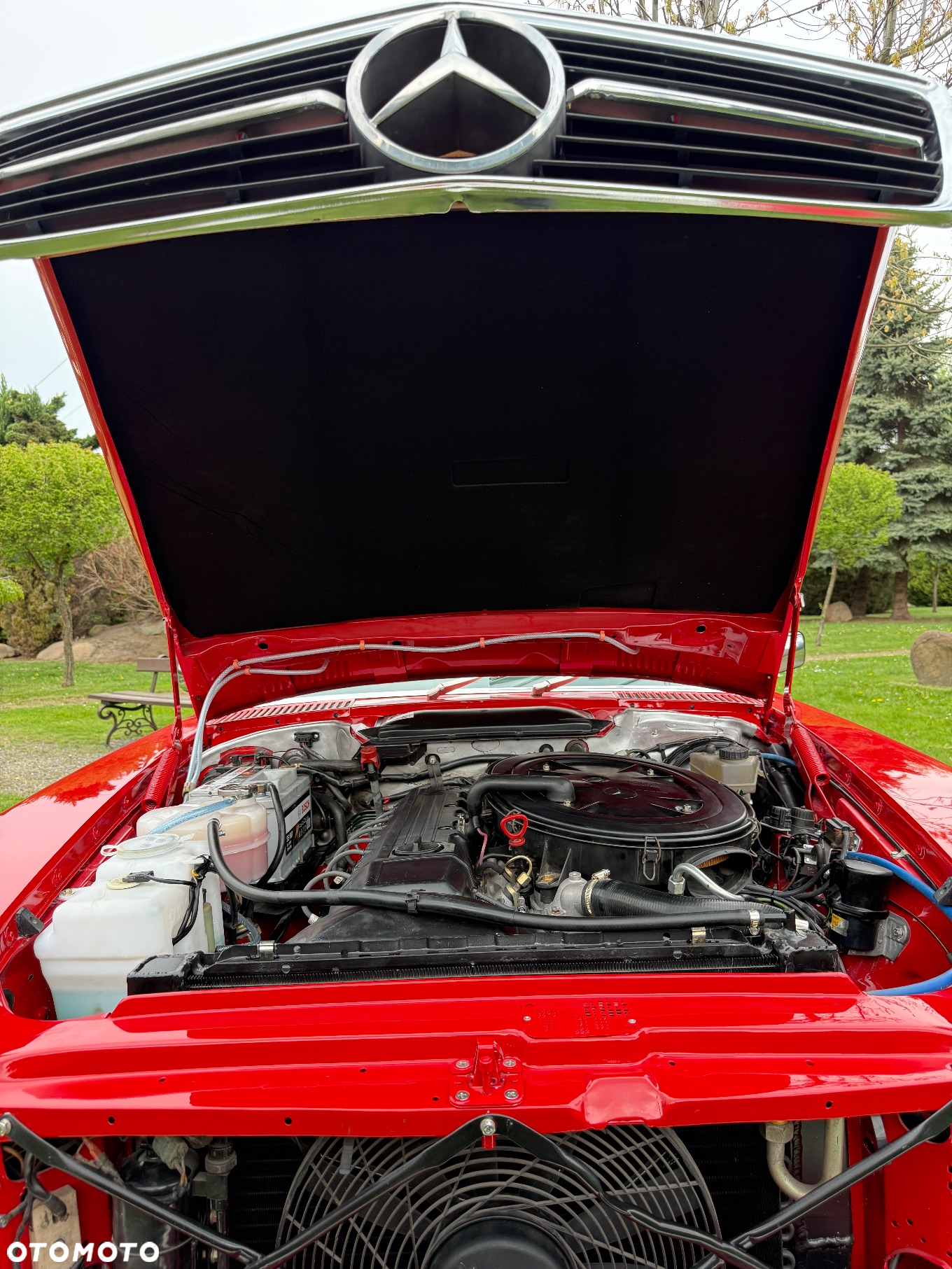 Mercedes-Benz SL - 23