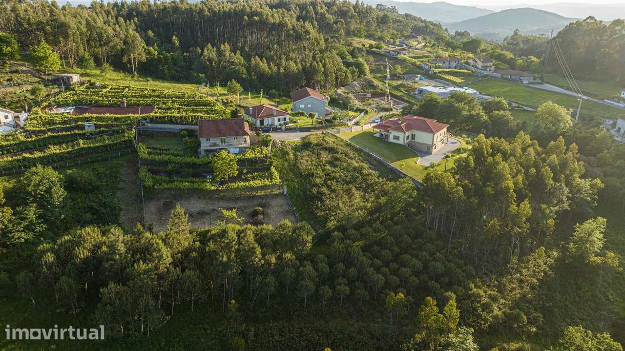 Terreno Rústico  Venda em Serzedelo,Póvoa de Lanhoso - Grande imagem: 5/12