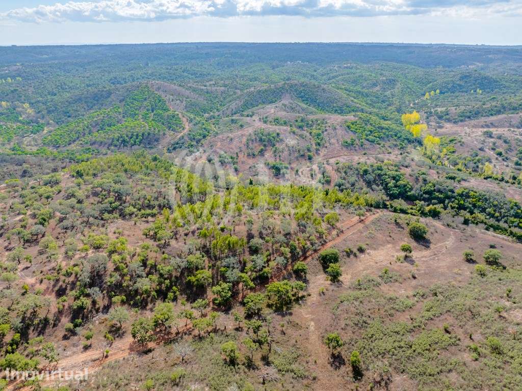 Terreno em Santa Margarida da Serra - Grande imagem: 3/8