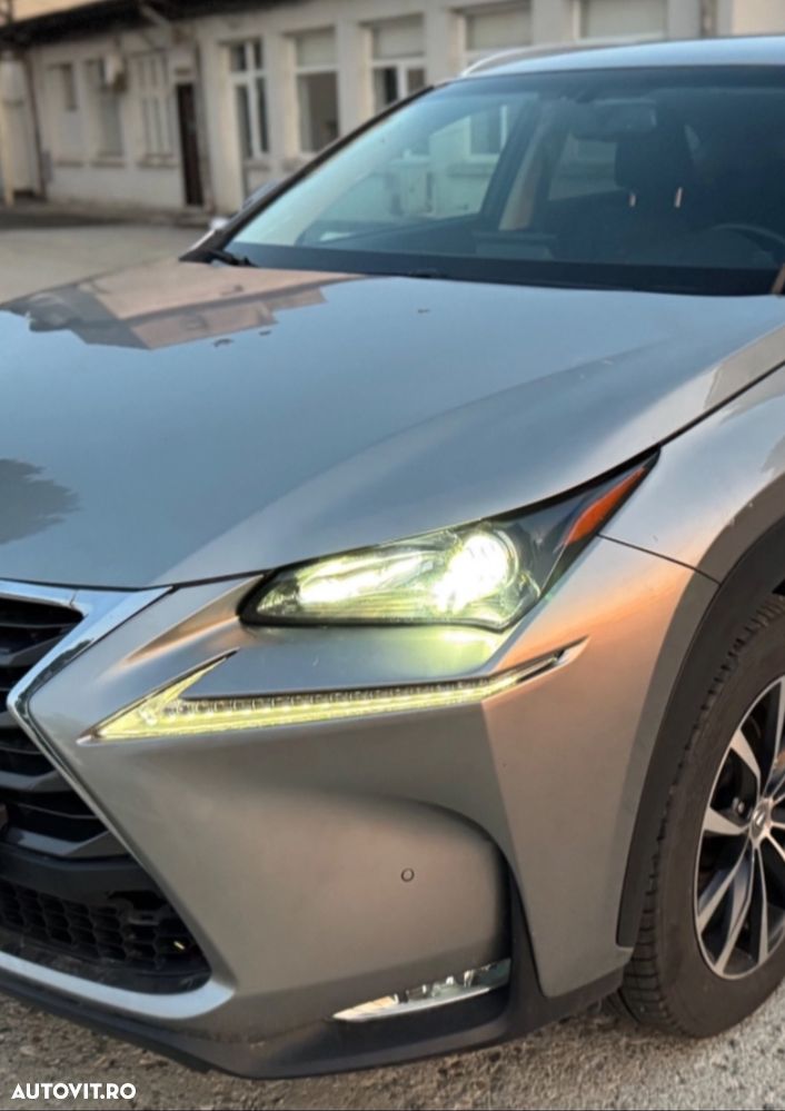 Lexus Seria NX - 7