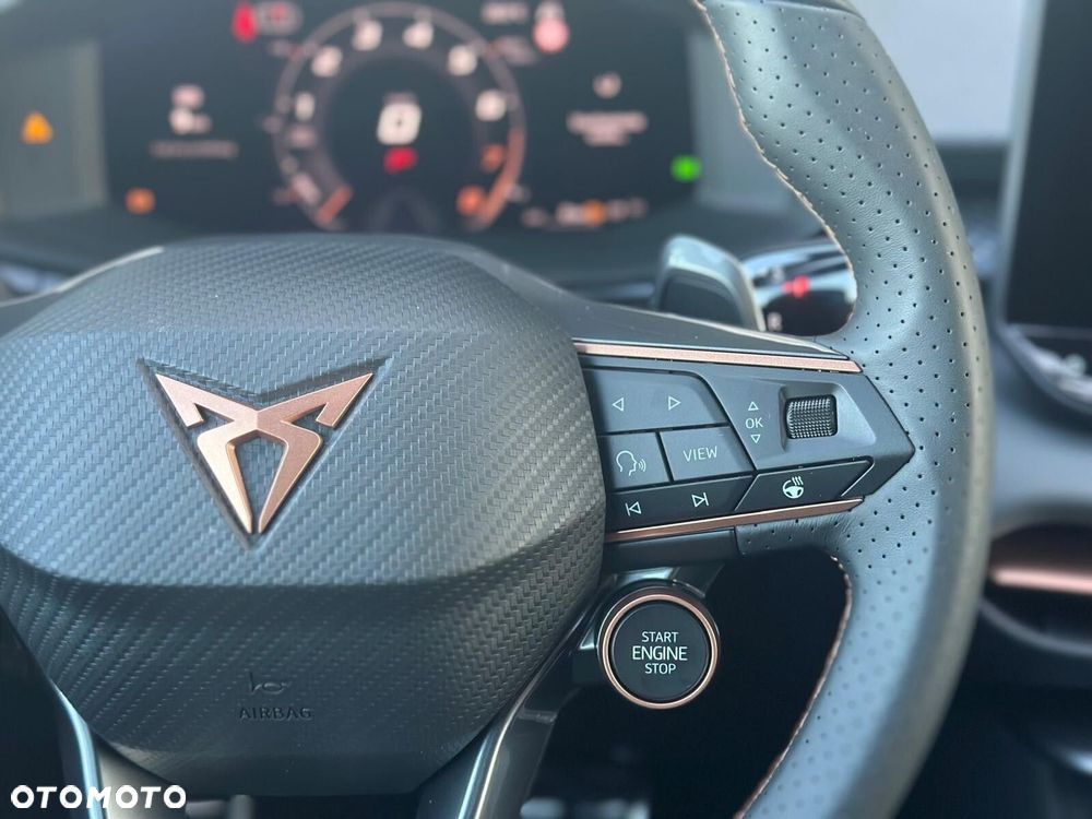 Cupra Terramar 2.0 TSI 4Drive DSG - 22
