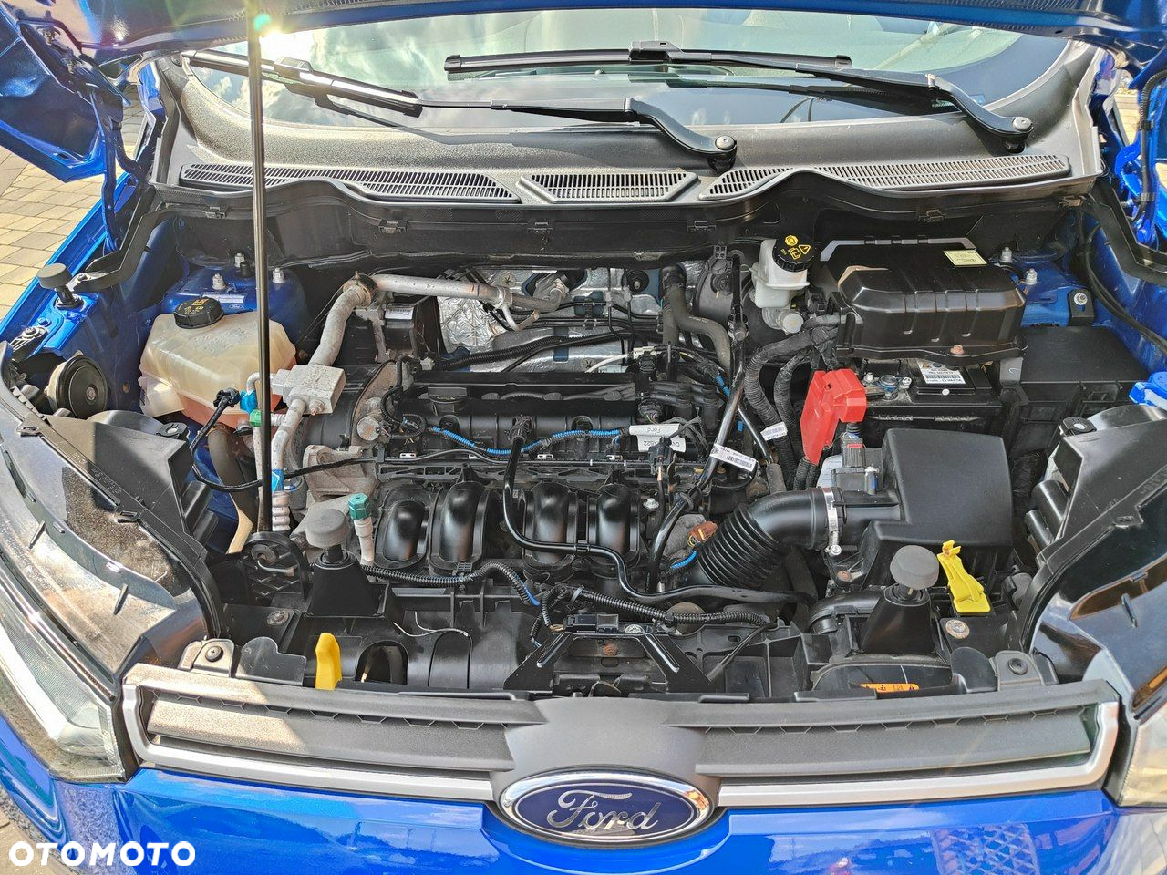 Ford EcoSport 1.5 Ti-VCT TREND - 30