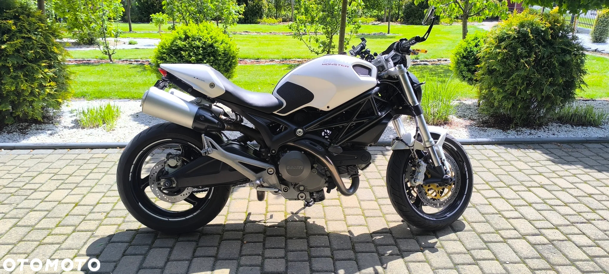 Ducati Monster - 7