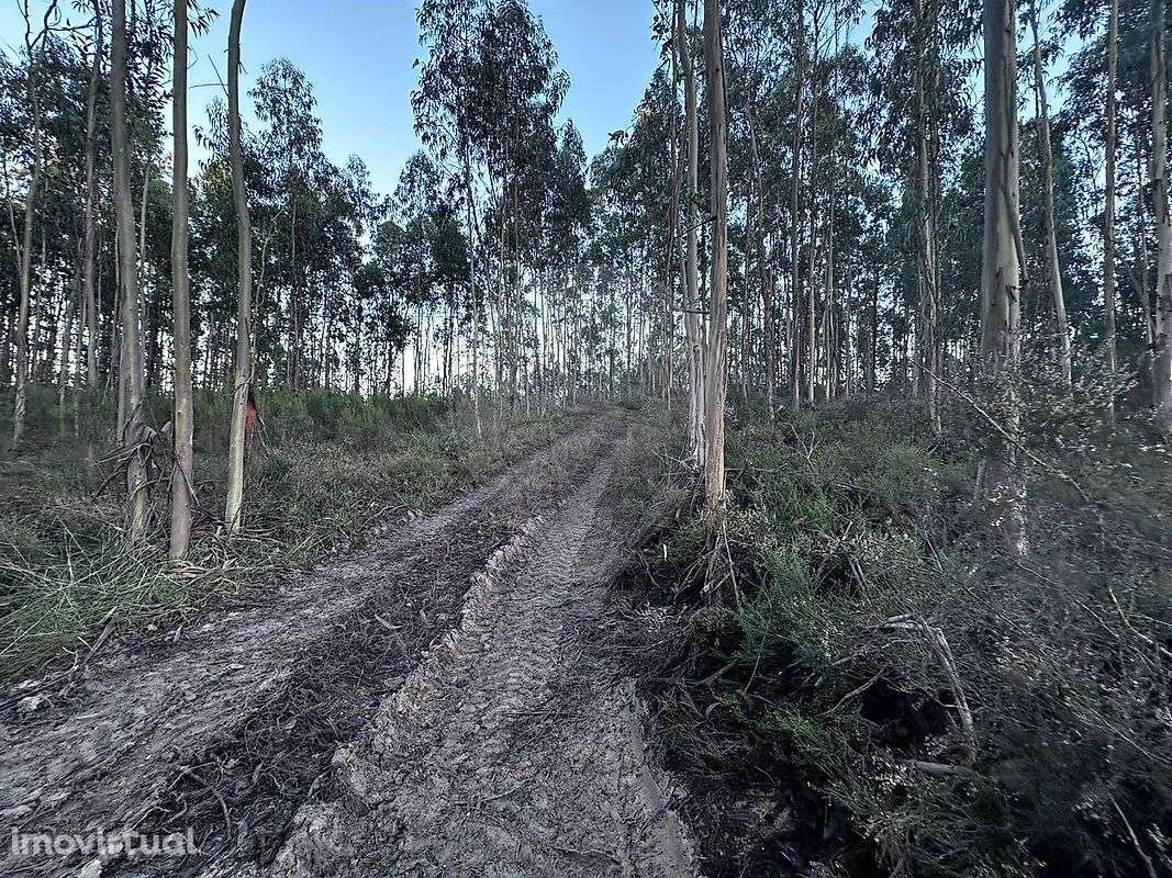 Terreno  para venda - Grande imagem: 5/24