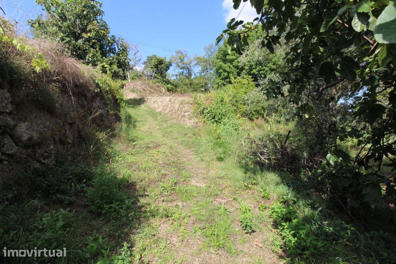 Terreno Urbano - Grande imagem: 4/5