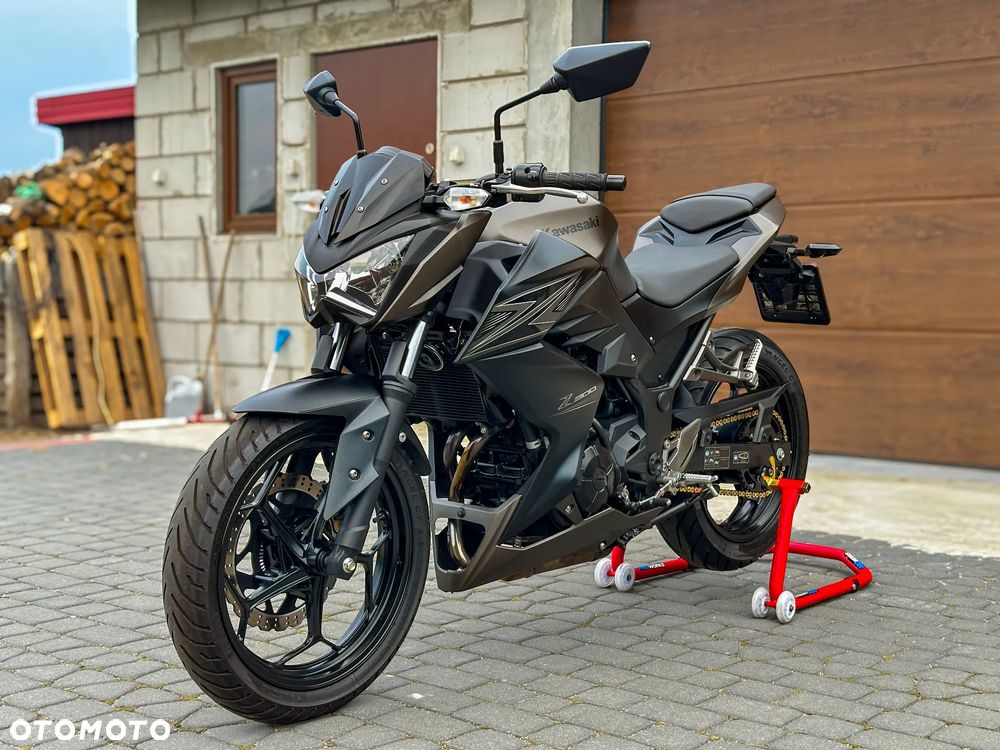 Kawasaki Z - 6