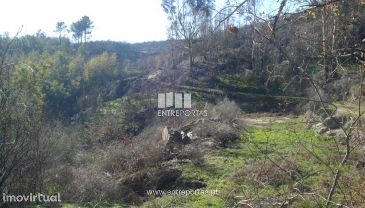 Venda Terreno, Grilo, Baião - Grande imagem: 2/7