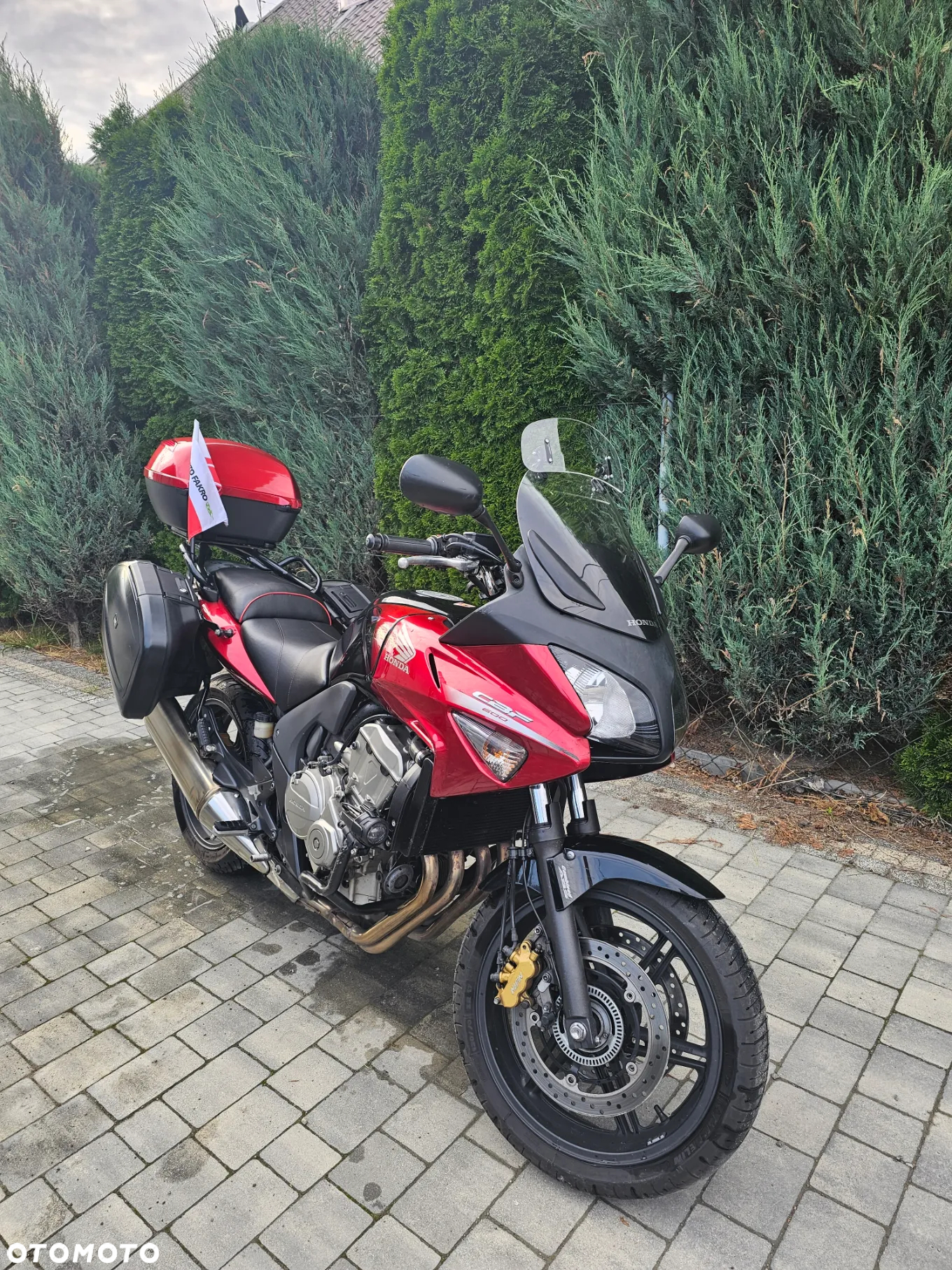 Honda CBF - 2