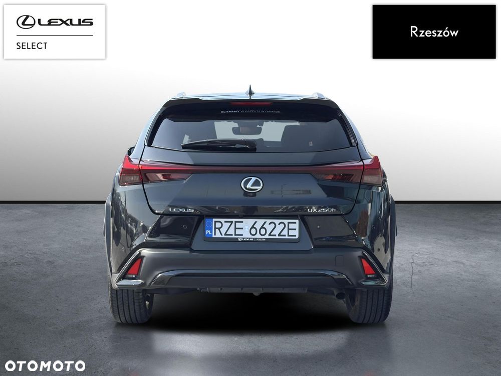 Lexus UX 250h GPF F Sport Design 2WD - 4