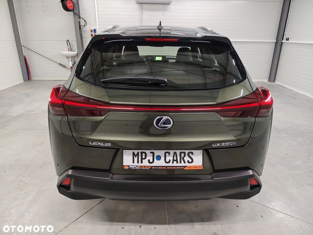 Lexus UX 250h Elegance 2WD - 12