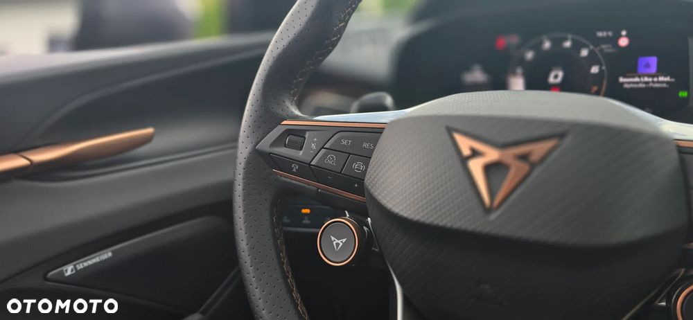 Cupra Terramar 2.0 TSI 4Drive VZ Tribe Edition DSG - 36