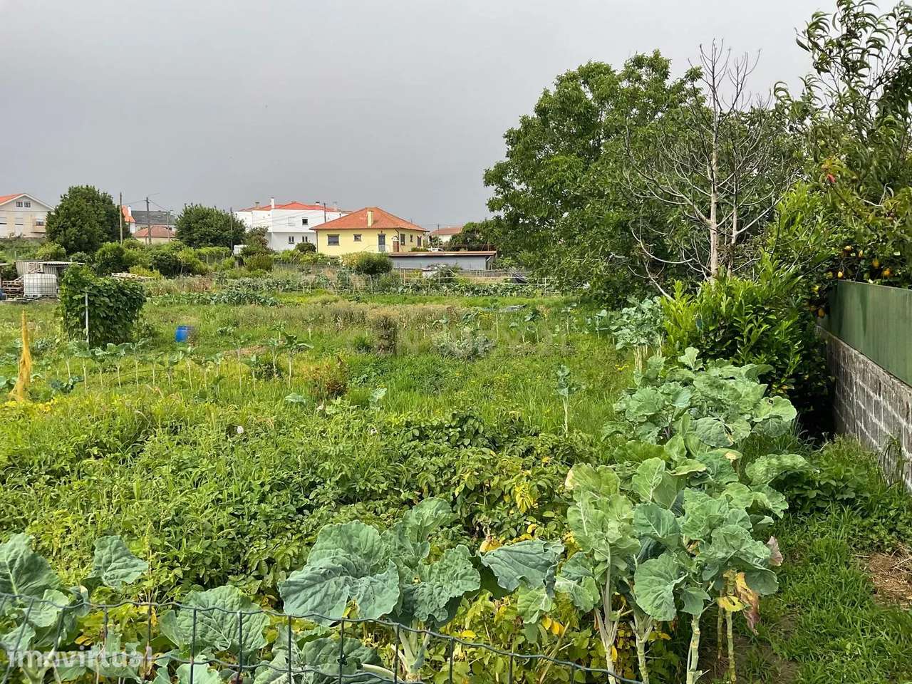 Espetacular Terreno de 572m² em Viana do Castelo - Grande imagem: 5/12