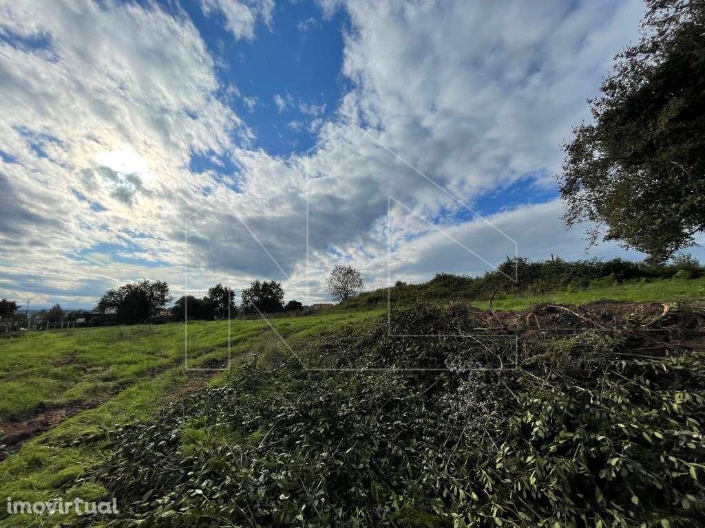 Terreno - Águeda - Grande imagem: 2/10