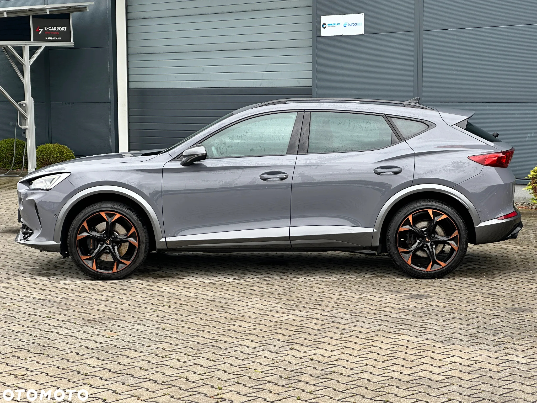 Cupra Formentor 2.0 TSI 4Drive VZ DSG - 3