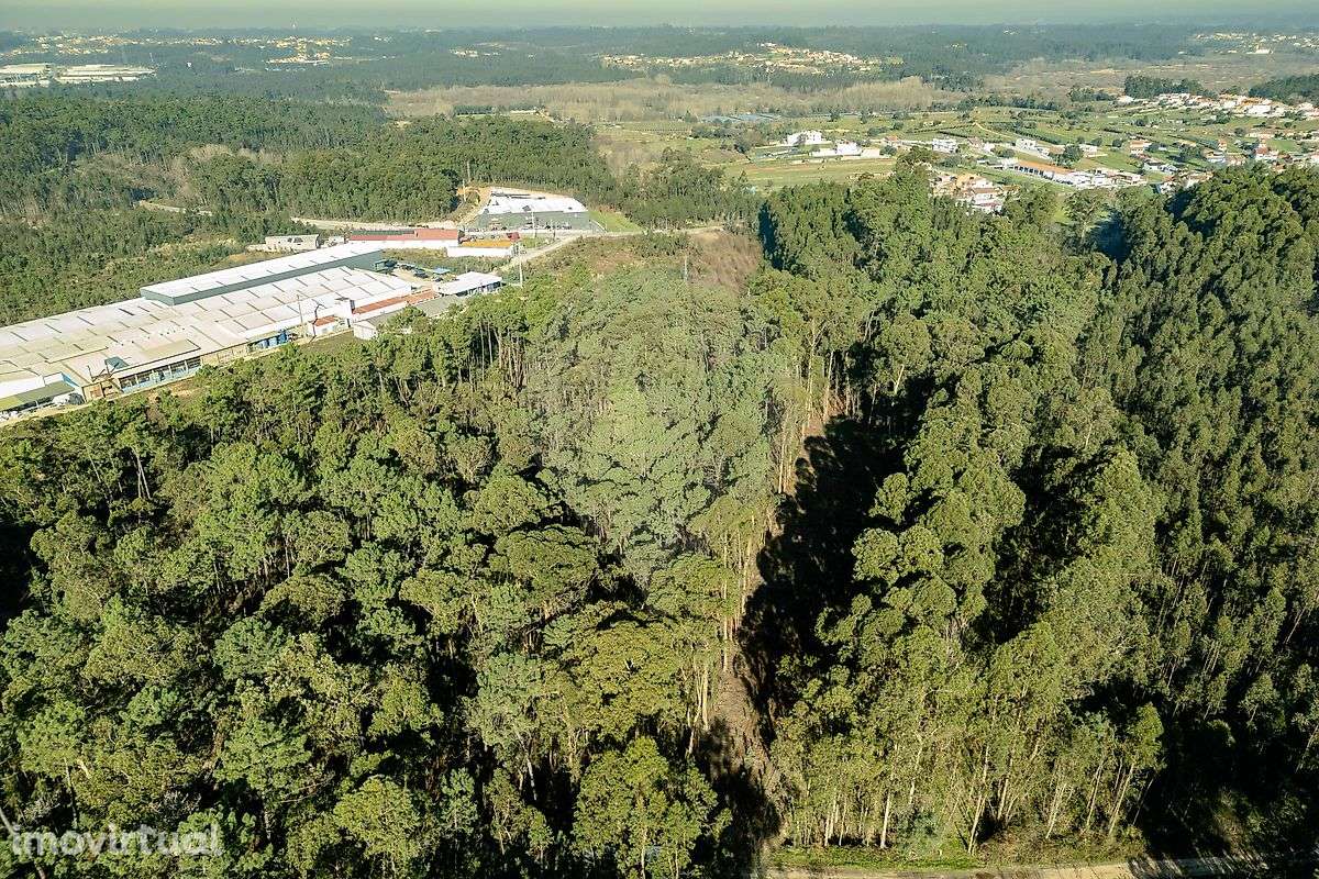 Terreno  para venda - Grande imagem: 2/11