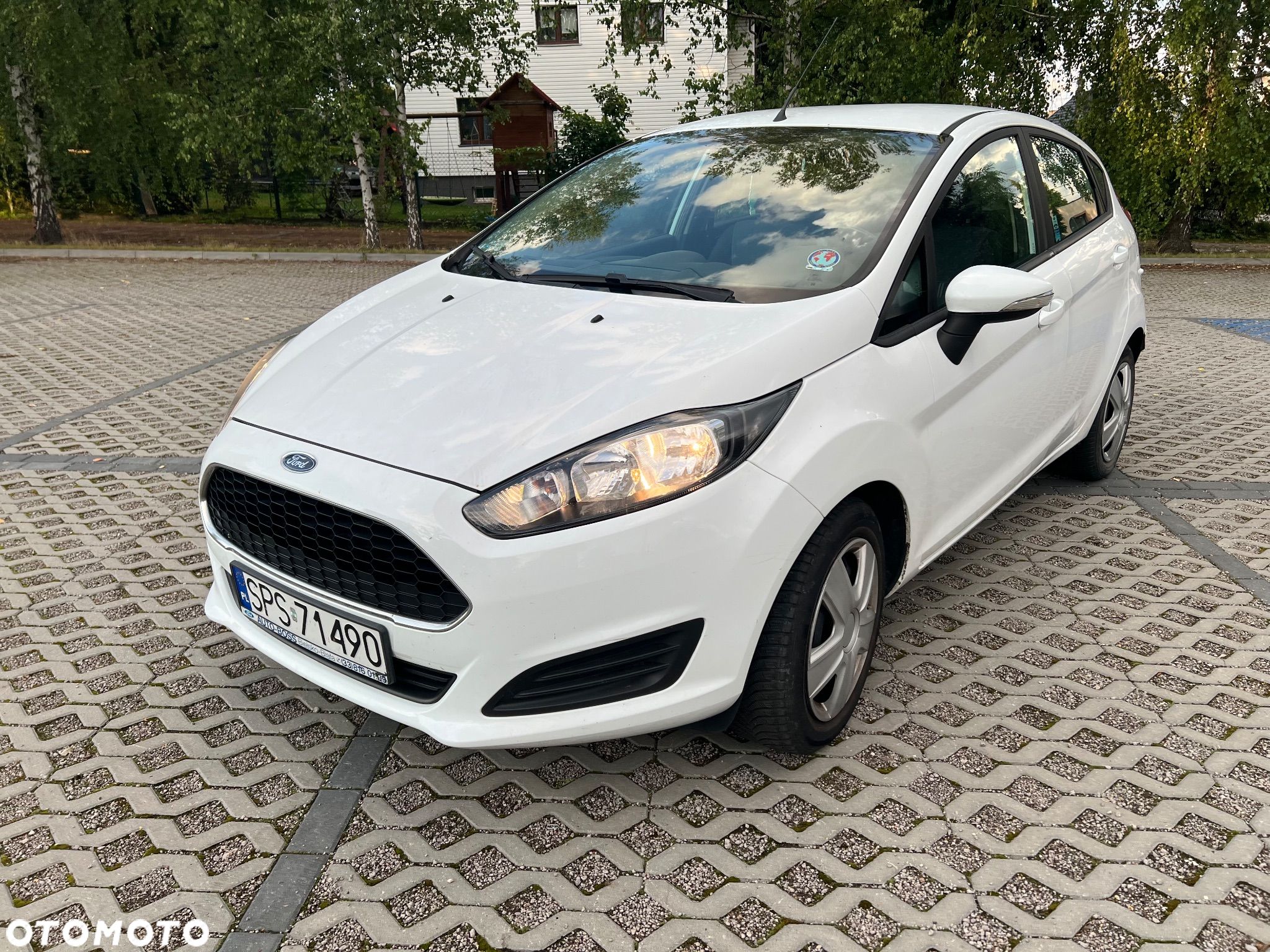 Ford Fiesta 1.5 TDCi Silver X (Amb.) EU6 - 1