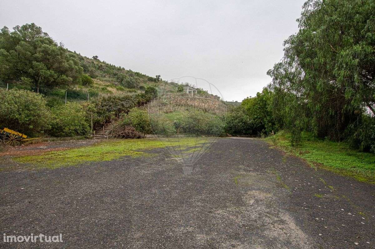 Quinta T7 para venda - Grande imagem: 3/49