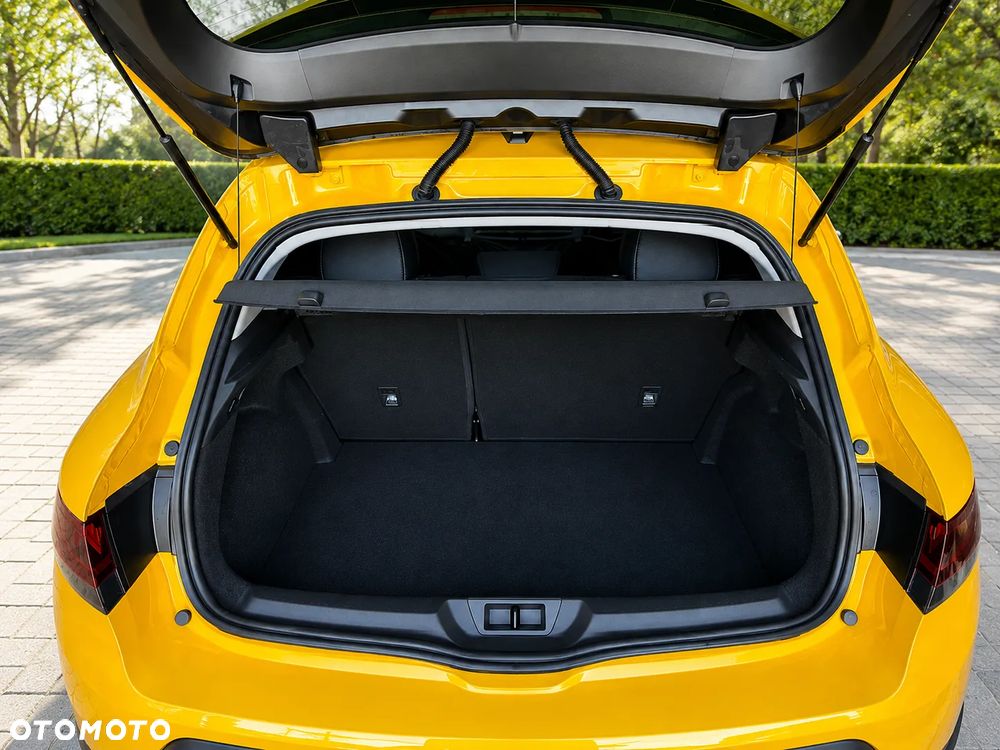 Renault Megane - 24
