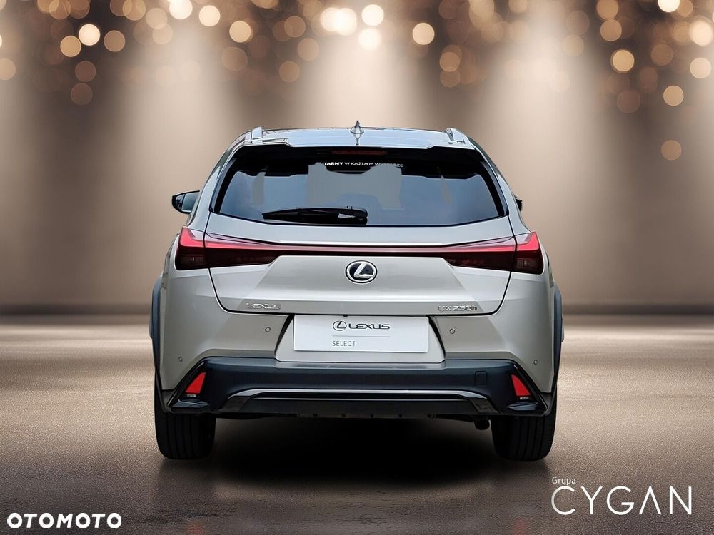 Lexus UX 250h GPF F Sport Design 2WD - 6