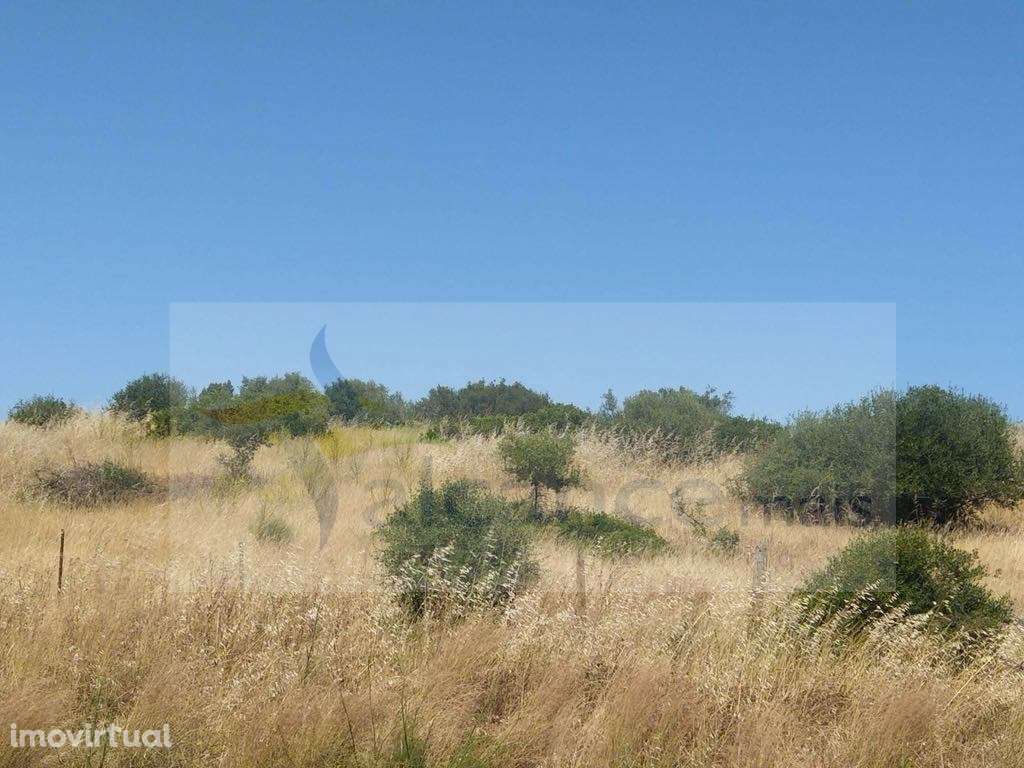 Terreno Rústico com 3,8 Hectares - Potencial para Turismo Rural ou ... - Grande imagem: 3/3