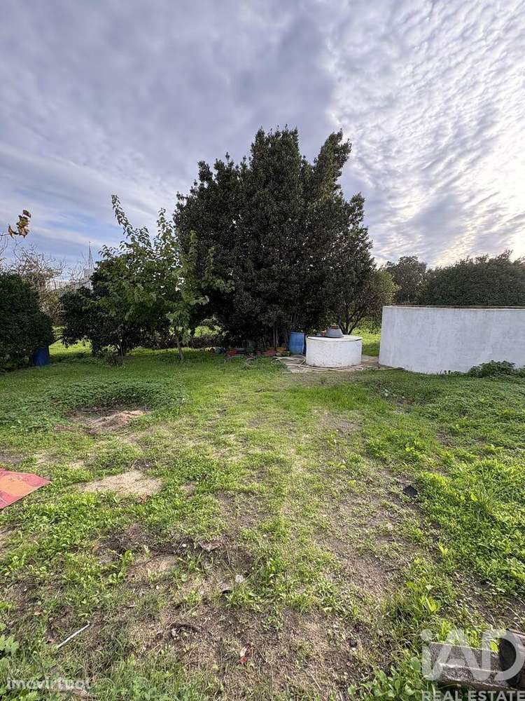Terreno Agrícola em Montijo e Afonsoeiro - Grande imagem: 3/4
