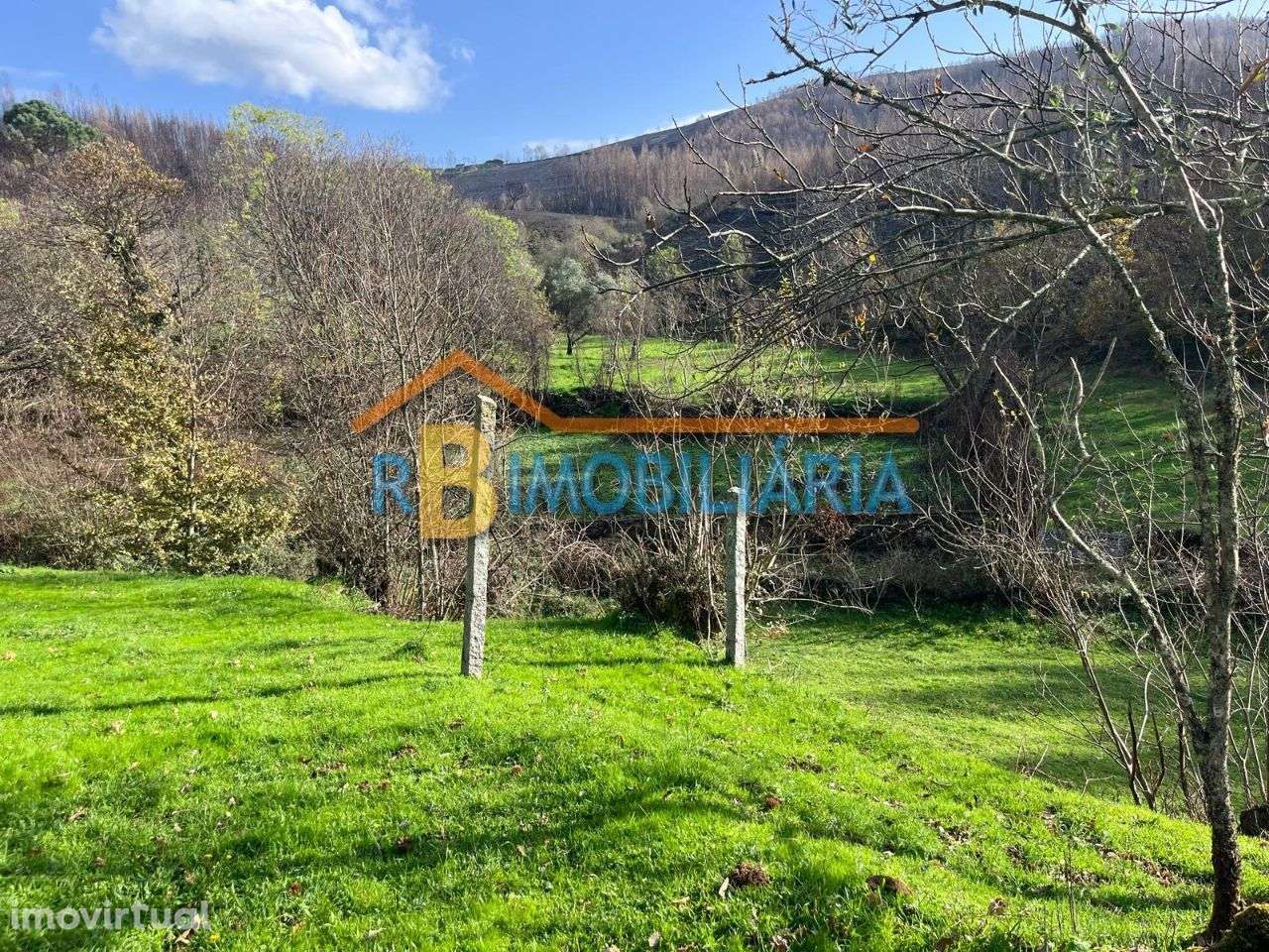 Quinta "Casa do Afonso" em Várzeas - Alvarenga - Grande imagem: 4/19