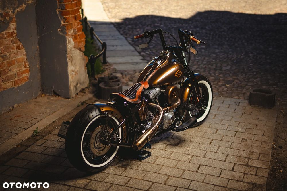 Harley-Davidson Softail Cross Bones - 10