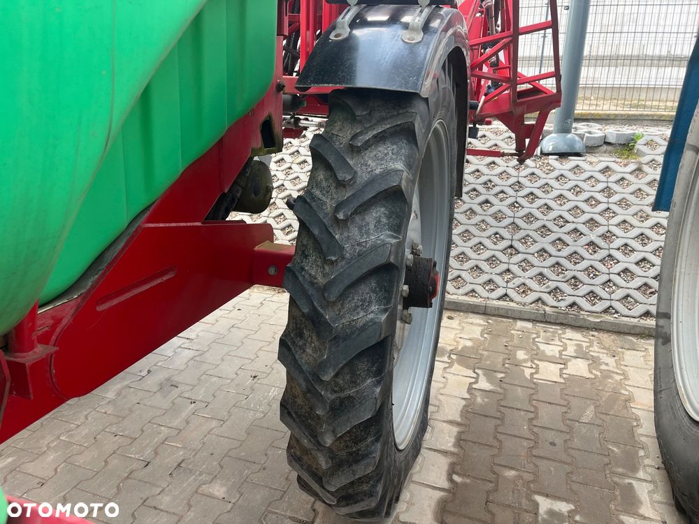 Krukowiak Goliat - 3