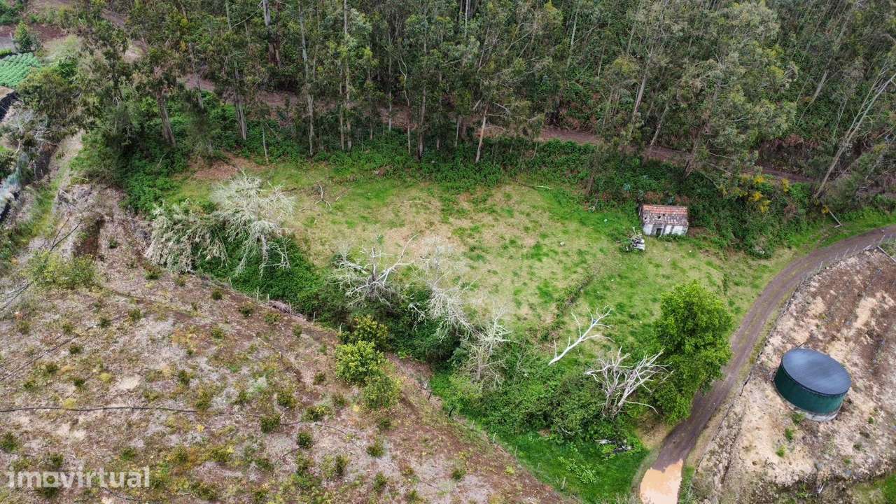 Oportunidade Exclusiva na Madeira – Terreno com 3.796 m² nos Canhas, P - Grande imagem: 5/7