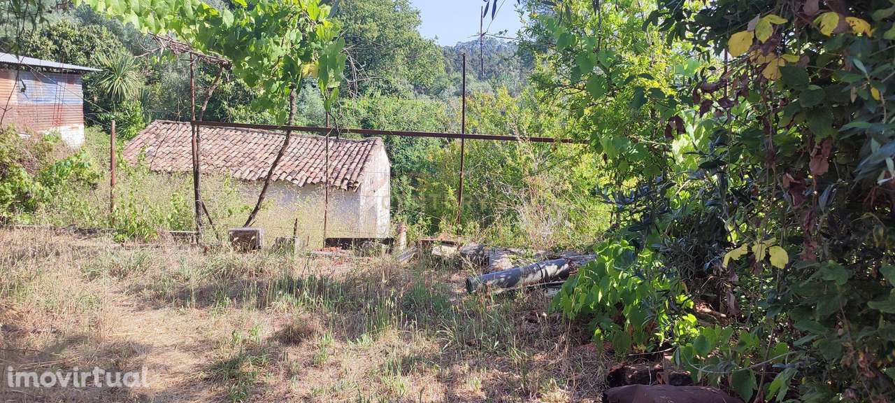 Terreno à venda em Coimbra, São Martinho do Bispo - Grande imagem: 3/10