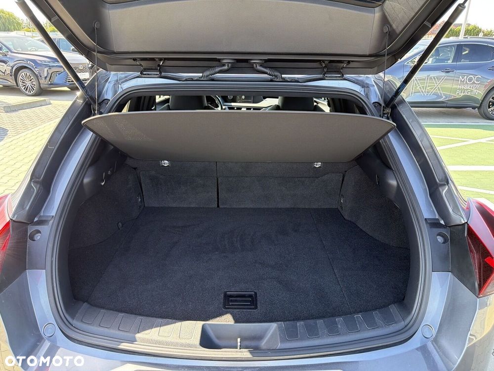 Lexus UX 250h GPF Business Edition 2WD - 13