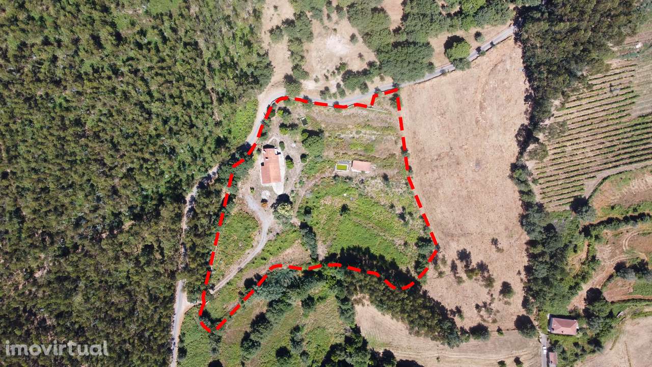 Quinta com cerca de 10.000m2 em Anais - Grande imagem: 5/20