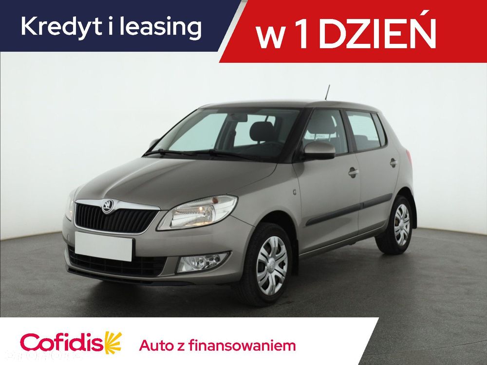 Skoda Fabia - 2