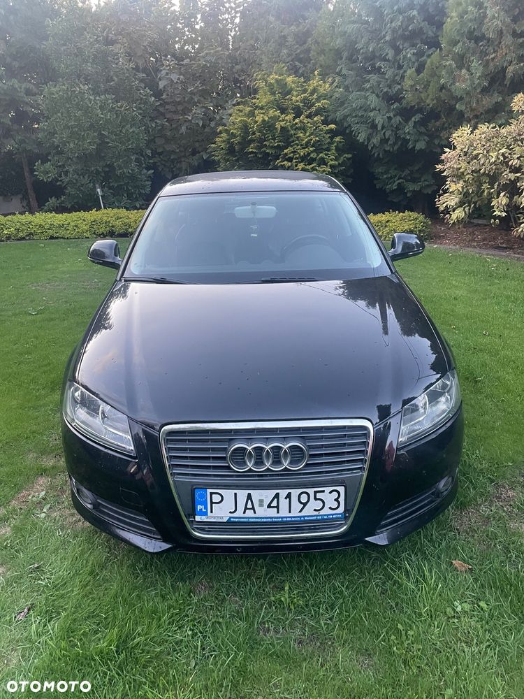 Audi A3 1.6 TDI DPF Attraction - 15