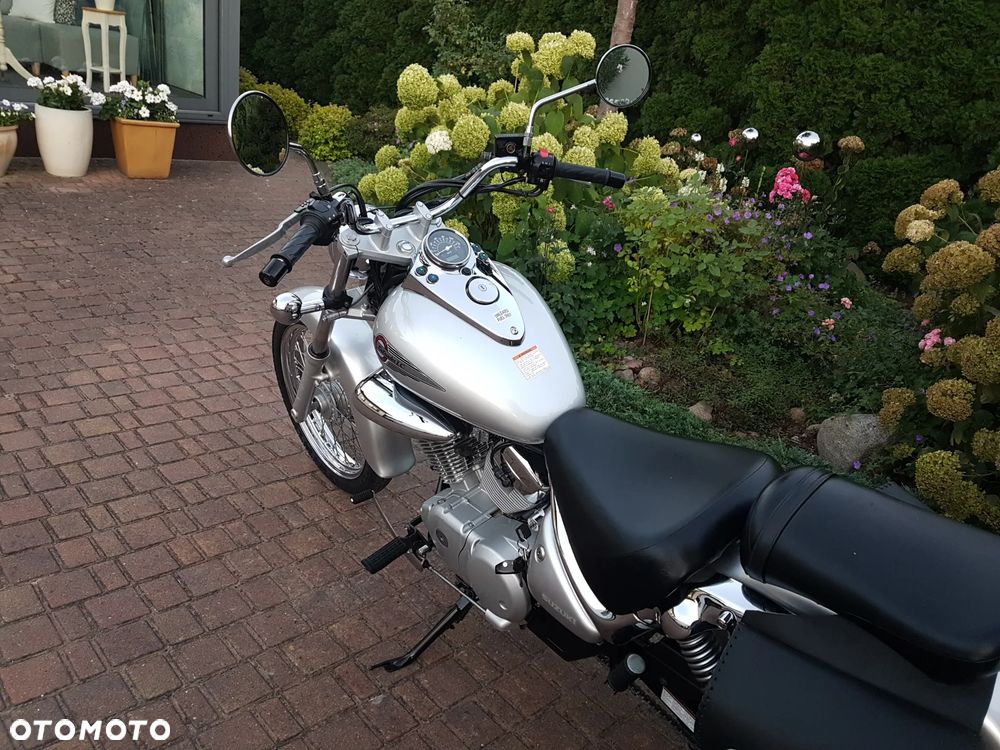 Suzuki Intruder - 15