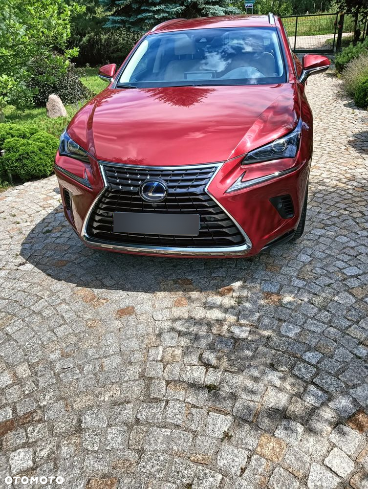Lexus NX ver-300h-business-edition-awd - 3