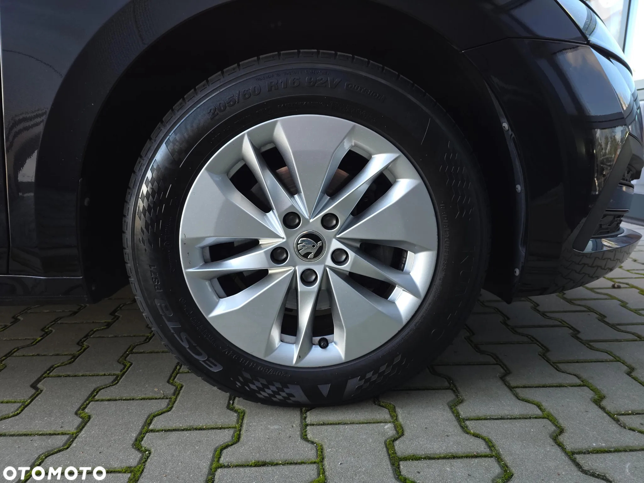Skoda Octavia - 19