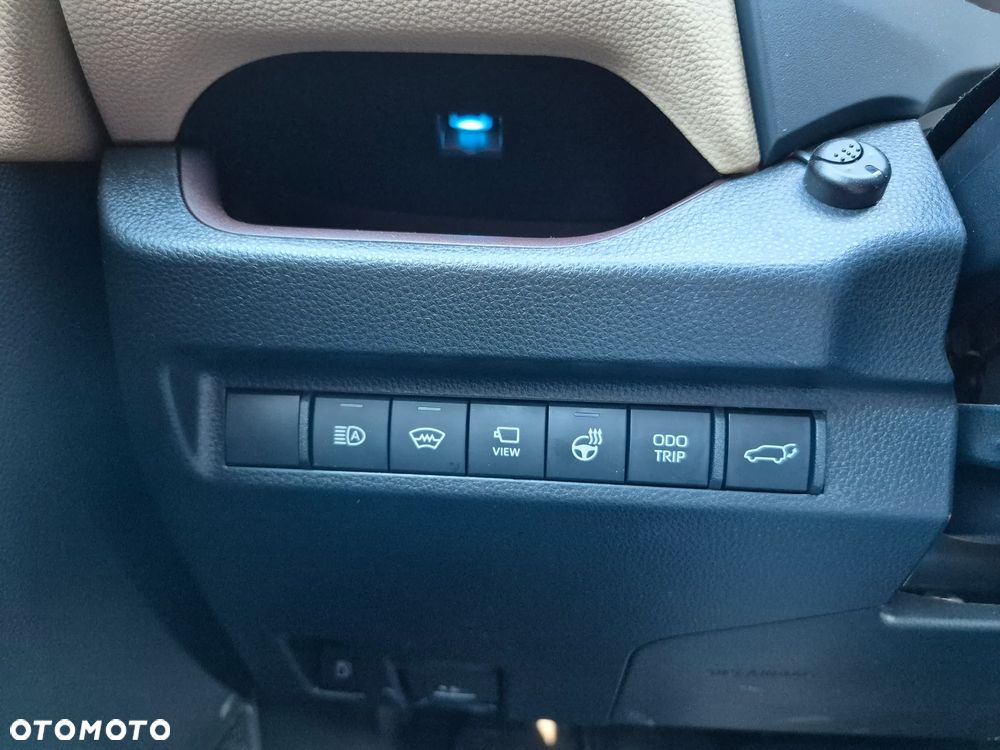 Toyota RAV4 2.5 Hybrid Executive 4x2 - 20
