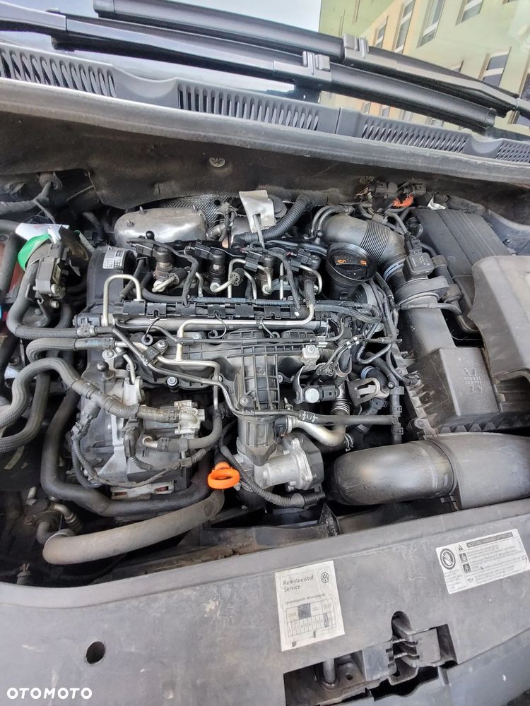 Volkswagen Golf Plus 1.6 TDI DPF BlueMotion Technology MATCH - 10