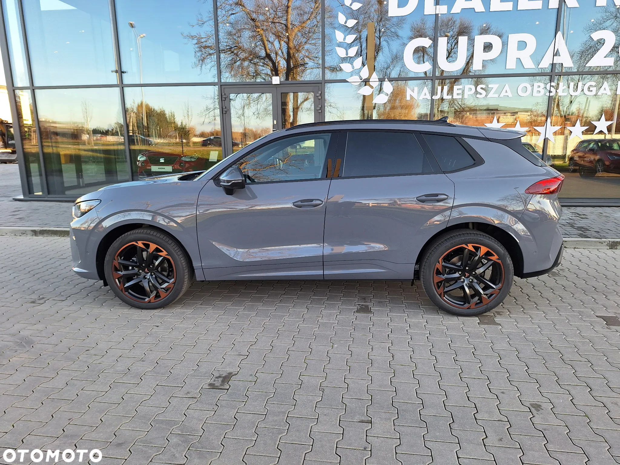 Cupra Terramar 2.0 TSI 4Drive VZ DSG - 5