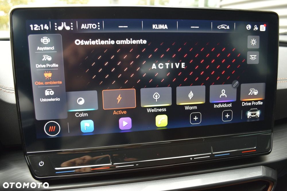 Cupra Formentor 1.5 TSI DSG - 19