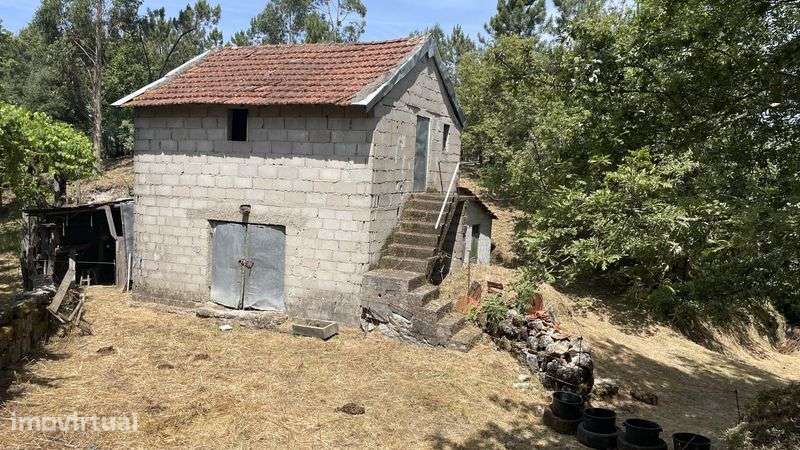 Oprtunidade- Quinta com casa rustica para restauro - Grande imagem: 5/7