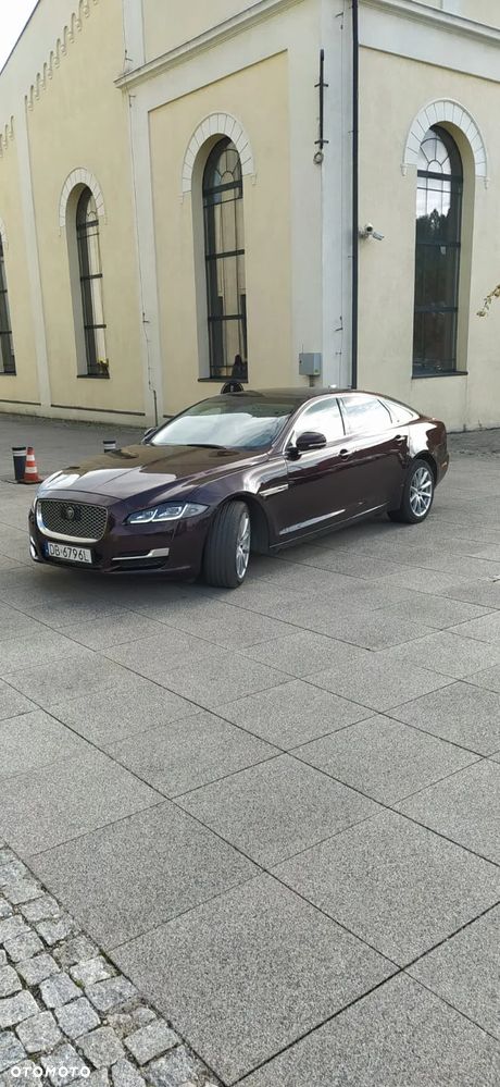 Jaguar XJ 3.0 D V6 LWB Portfolio - 4