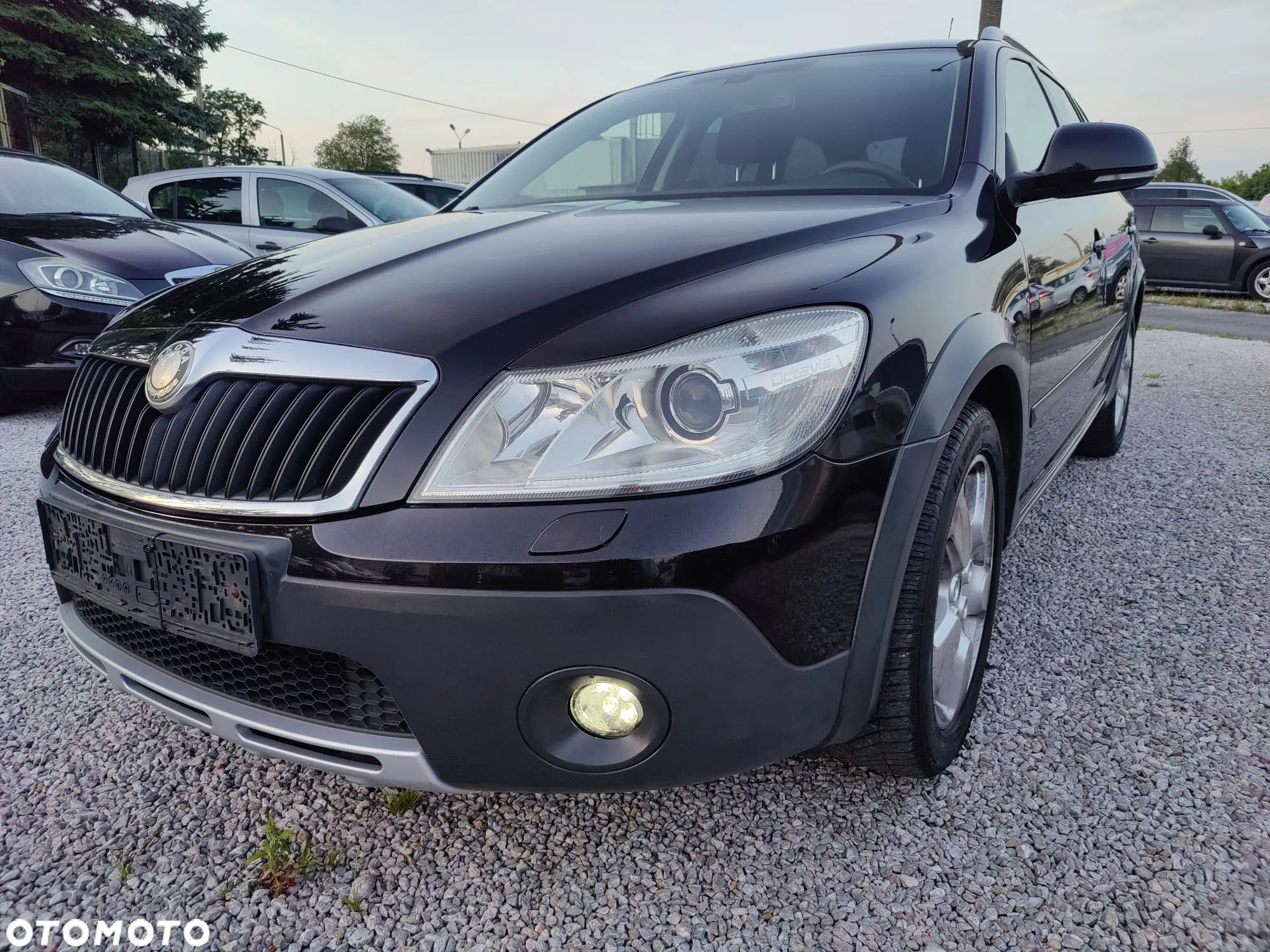 Skoda Octavia - 24